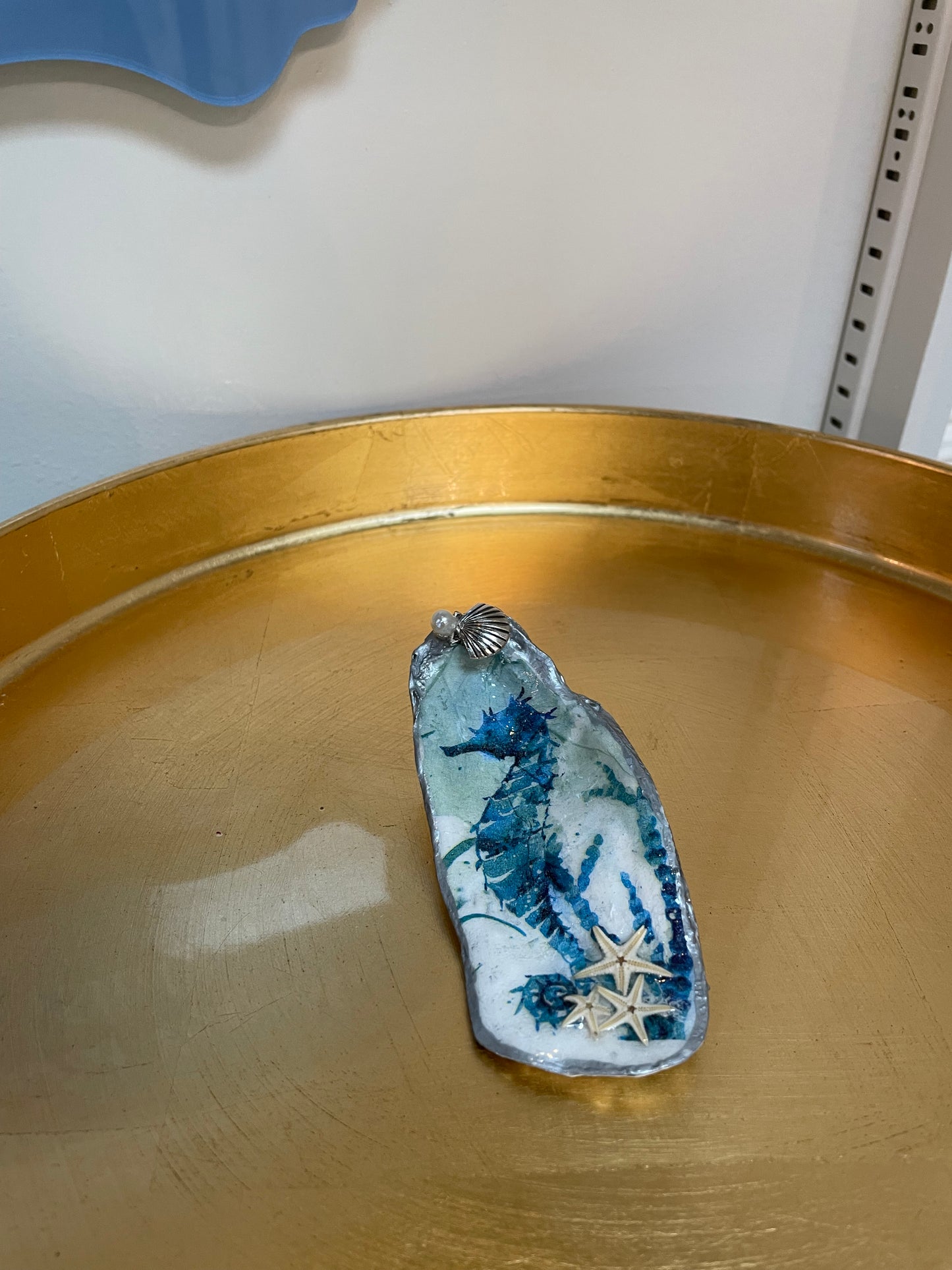 Coastal Keepsake Shells