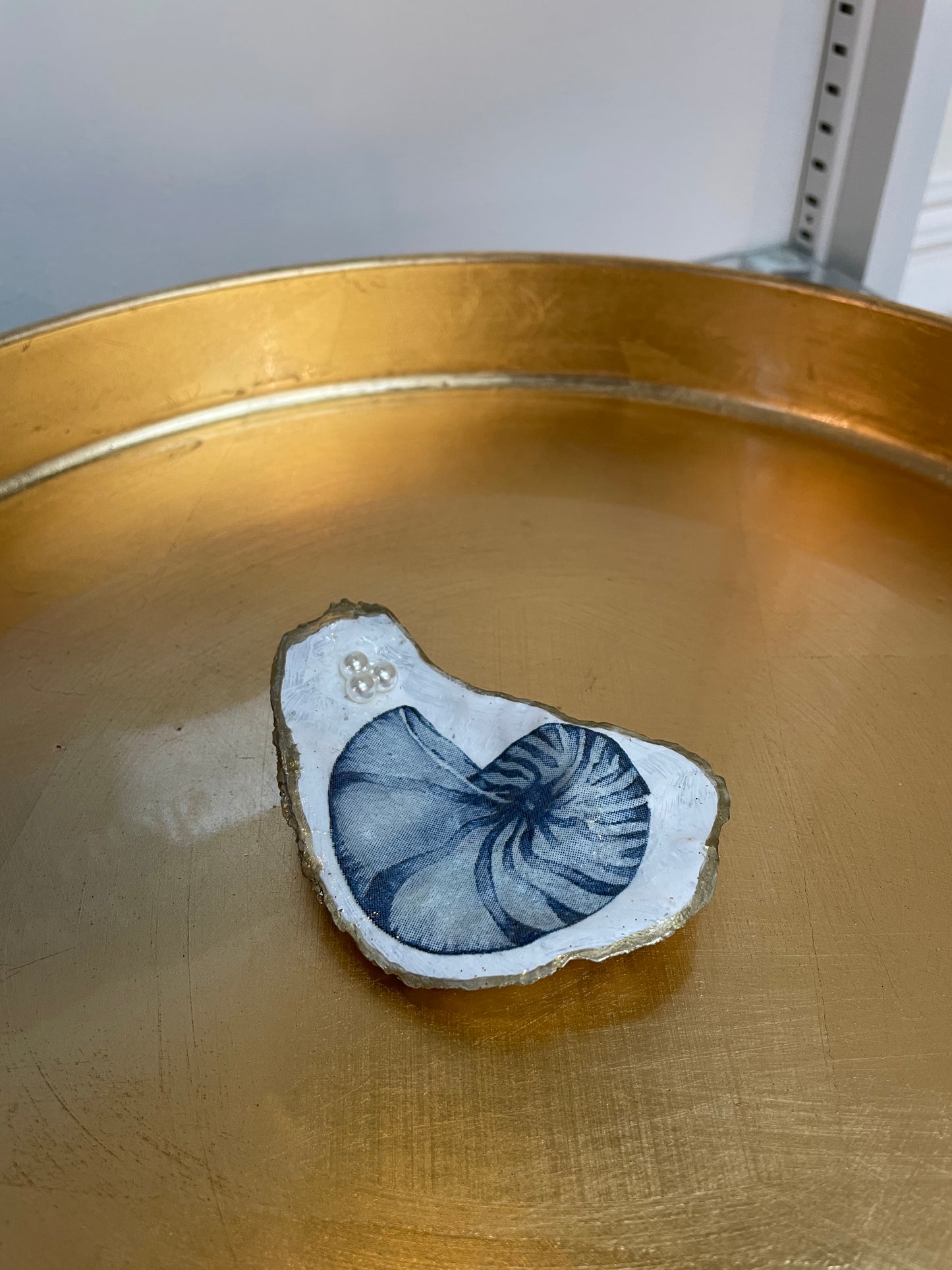 Coastal Keepsake Shells