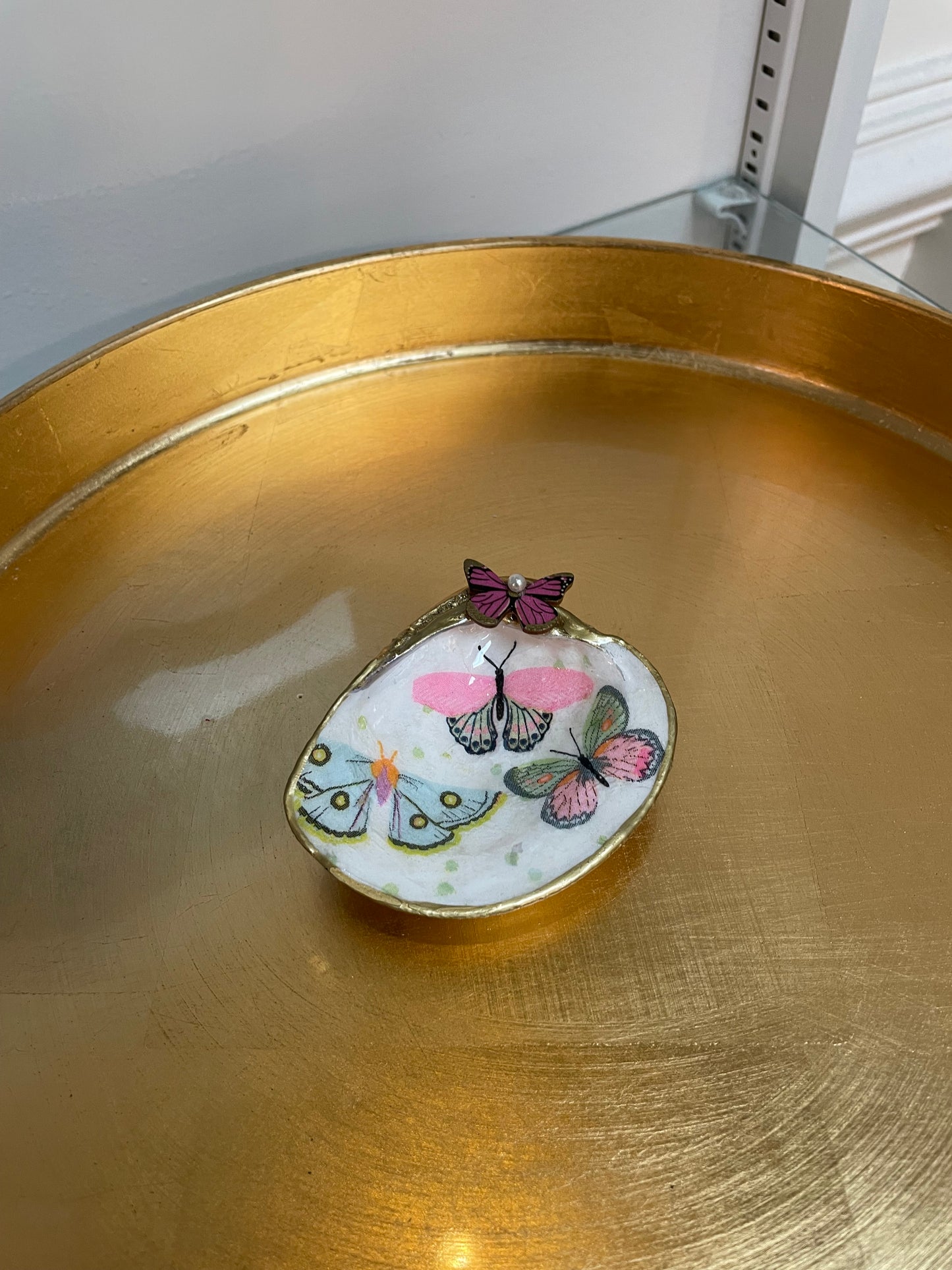 Coastal Keepsake Shells