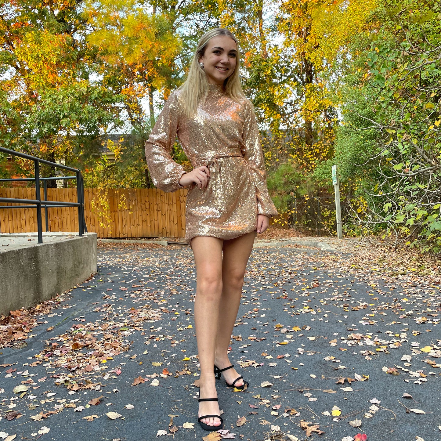 Shining Star Sequin Mini Dress